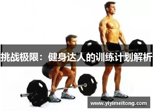 挑战极限：健身达人的训练计划解析